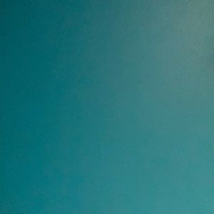 Meet your Posher, Mariah